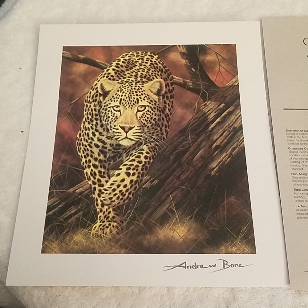 Andrew Bone Silent Stalker Print